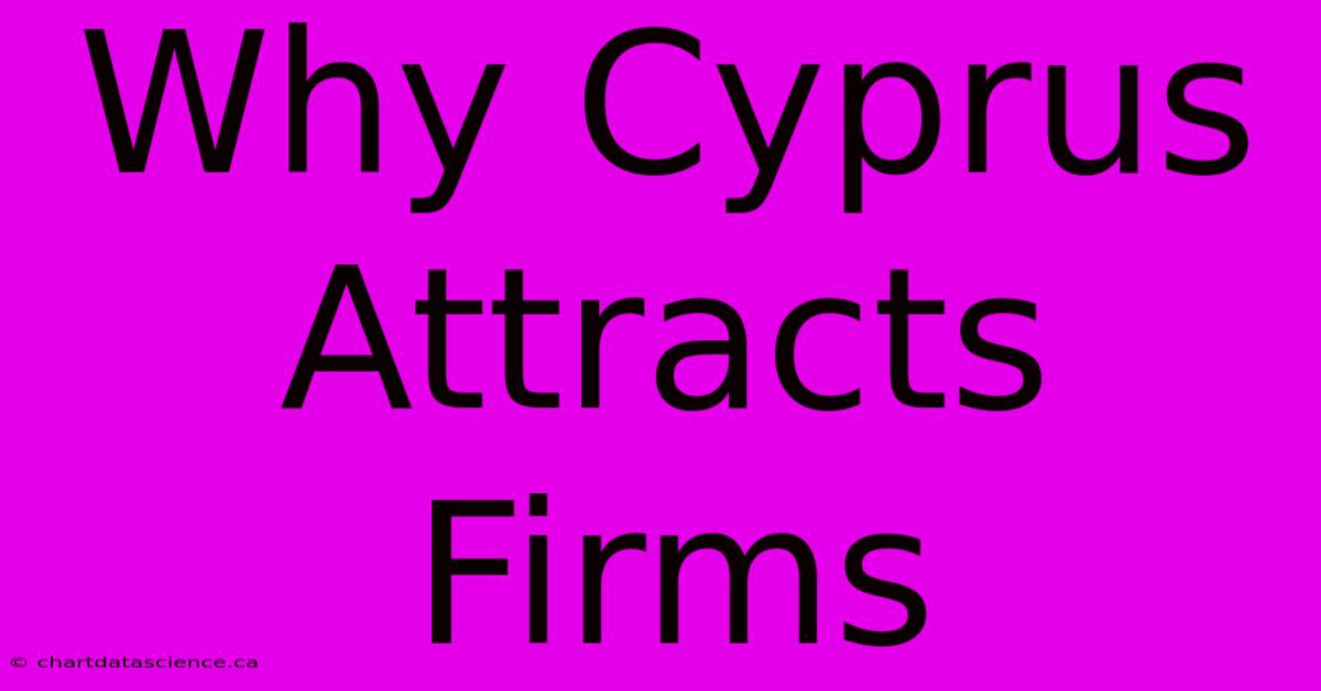 Why Cyprus Attracts Firms