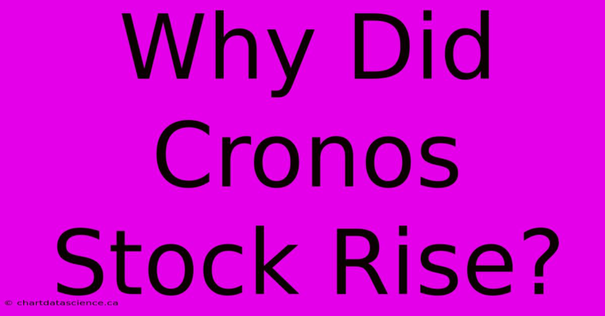 Why Did Cronos Stock Rise?