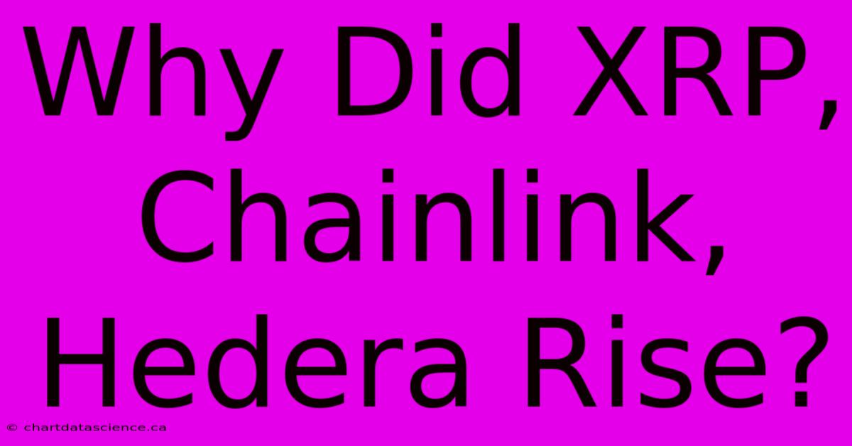 Why Did XRP, Chainlink, Hedera Rise?