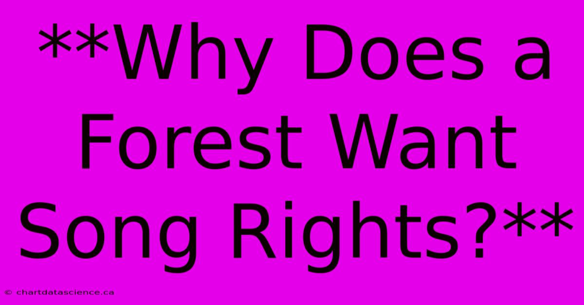 **Why Does A Forest Want Song Rights?** 