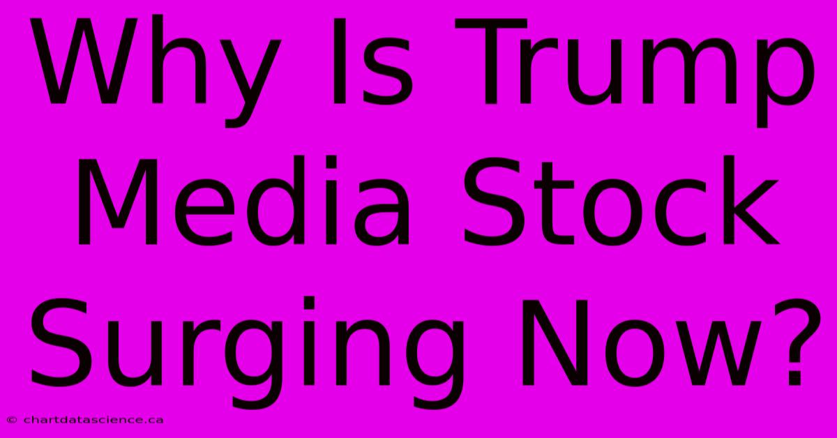 Why Is Trump Media Stock Surging Now?