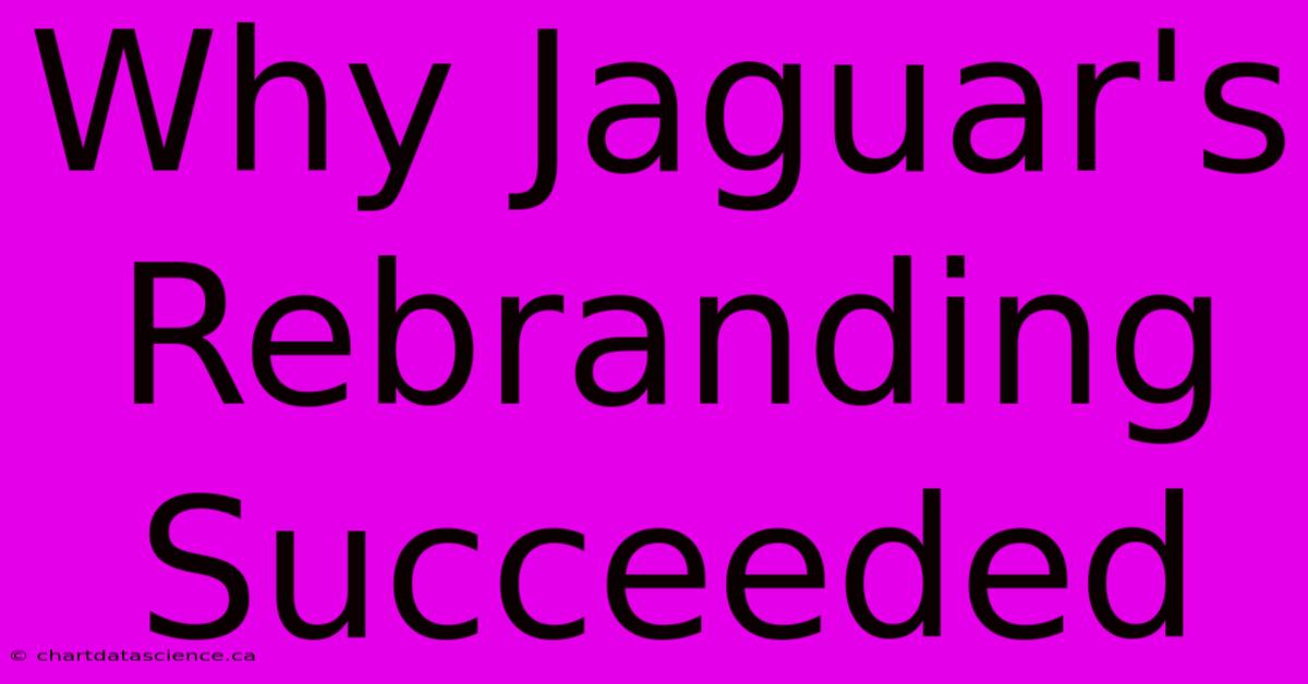 Why Jaguar's Rebranding Succeeded