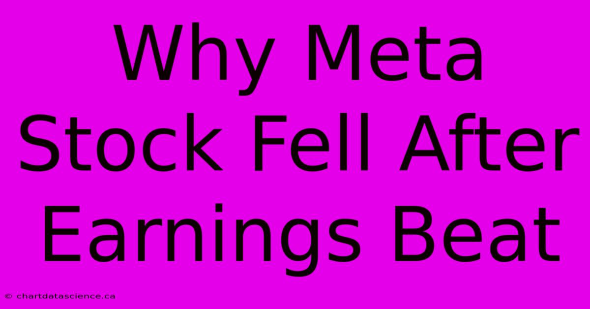 Why Meta Stock Fell After Earnings Beat