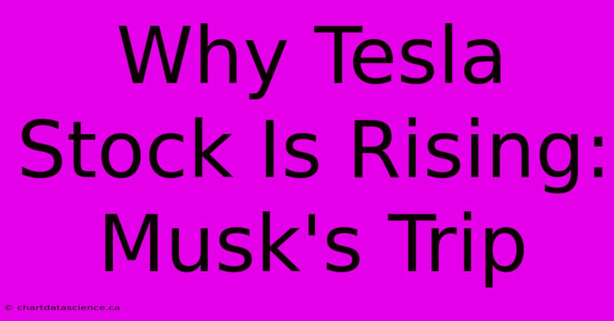 Why Tesla Stock Is Rising: Musk's Trip