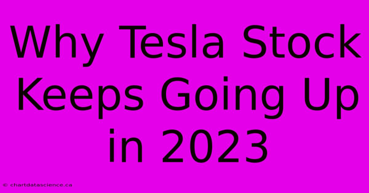 Why Tesla Stock Keeps Going Up In 2023