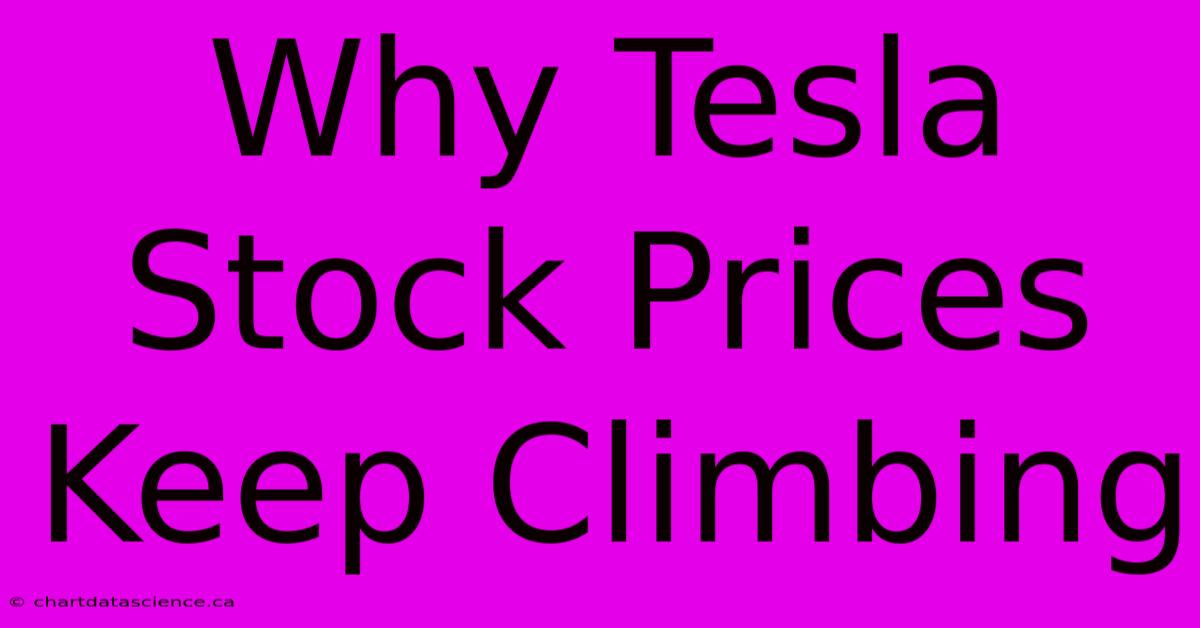 Why Tesla Stock Prices Keep Climbing