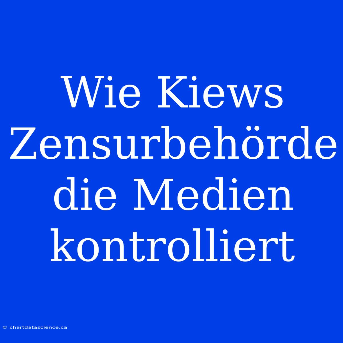 Wie Kiews Zensurbehörde Die Medien Kontrolliert