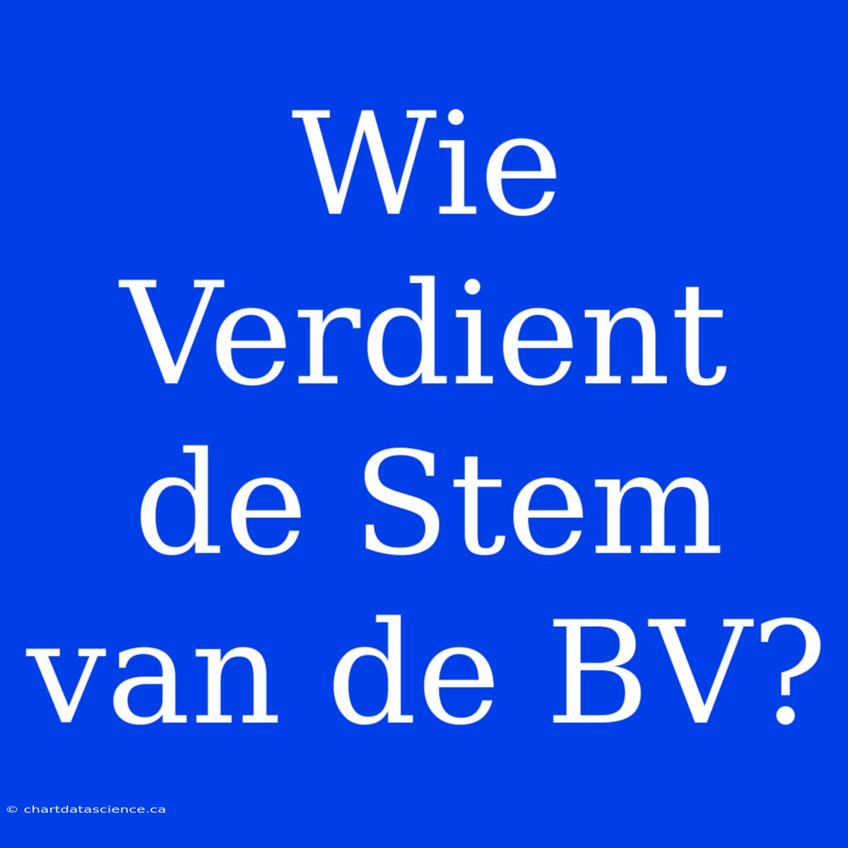 Wie Verdient De Stem Van De BV?