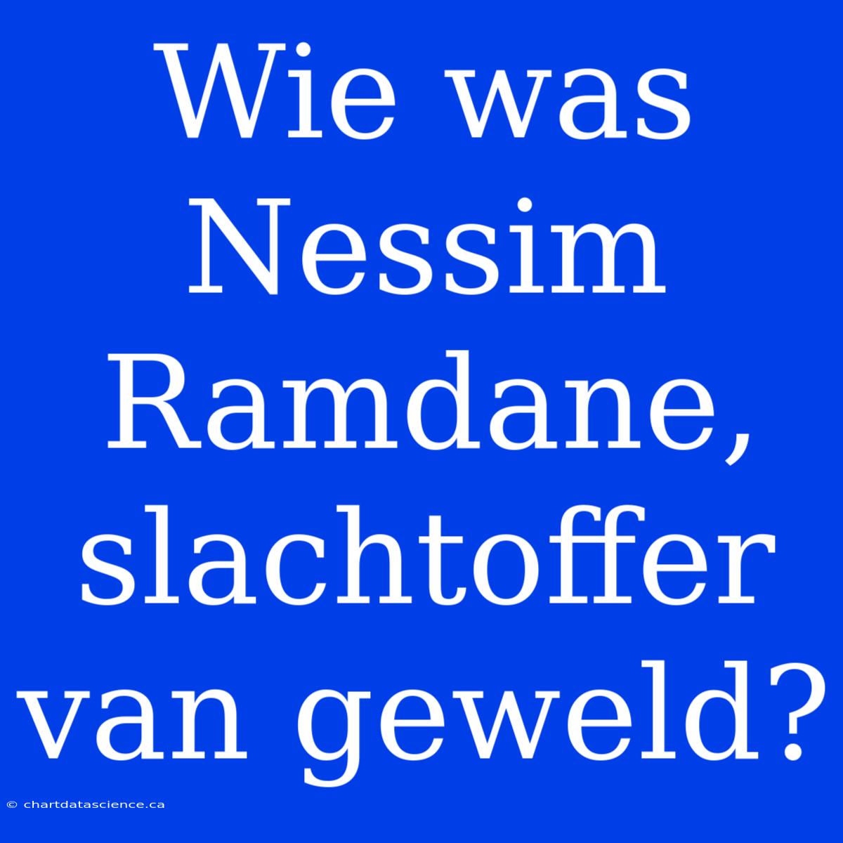 Wie Was Nessim Ramdane, Slachtoffer Van Geweld?