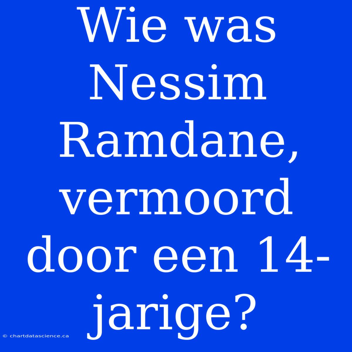 Wie Was Nessim Ramdane, Vermoord Door Een 14-jarige?