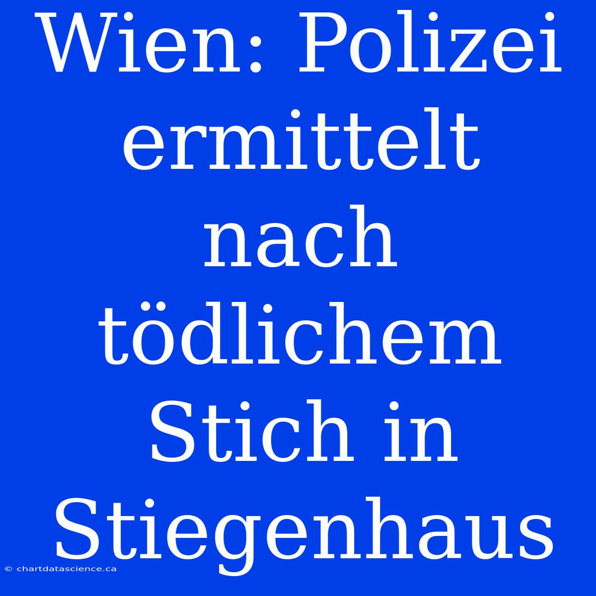 Wien: Polizei Ermittelt Nach Tödlichem Stich In Stiegenhaus