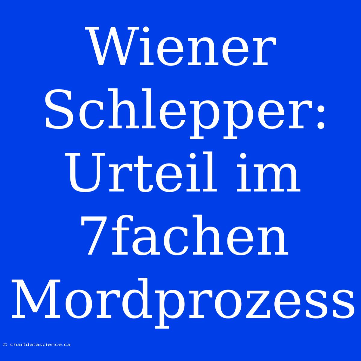 Wiener Schlepper: Urteil Im 7fachen Mordprozess