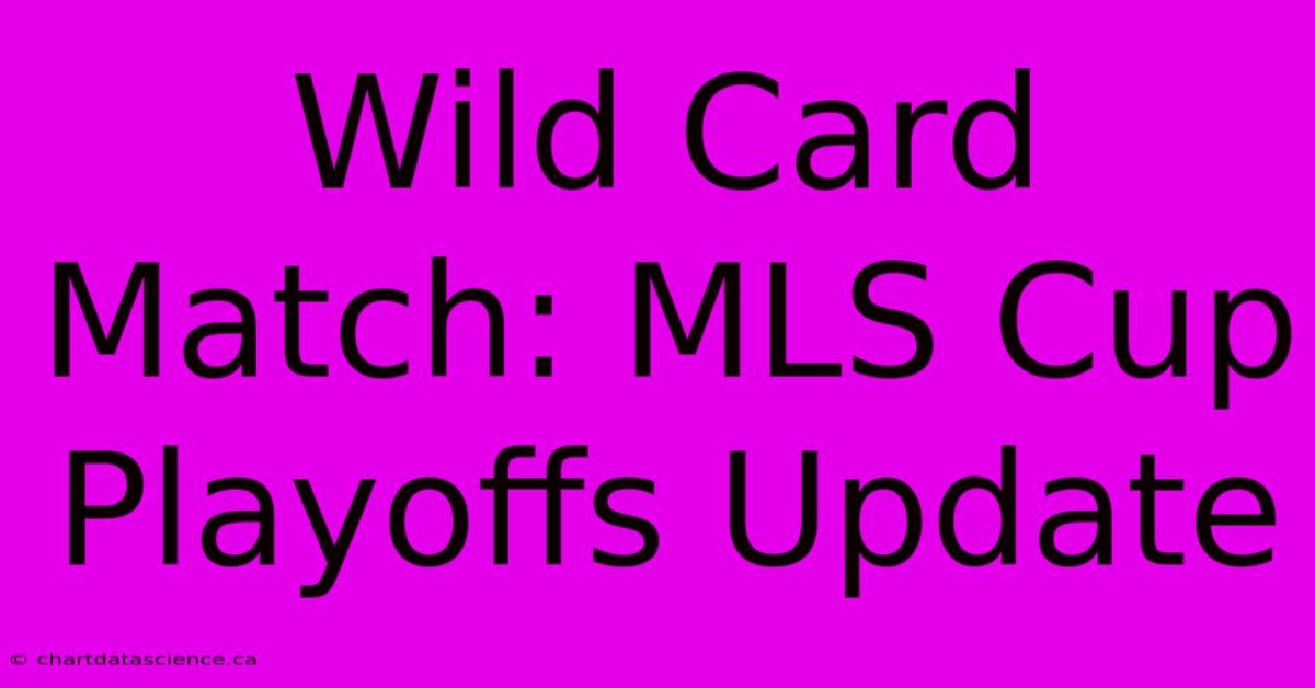 Wild Card Match: MLS Cup Playoffs Update