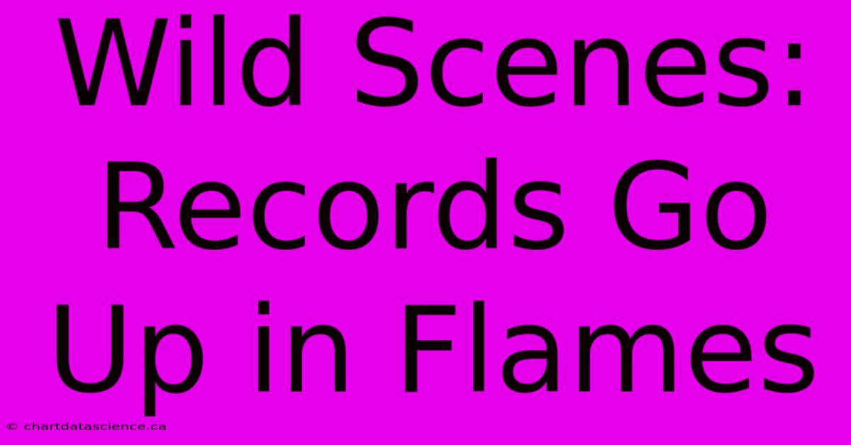 Wild Scenes: Records Go Up In Flames