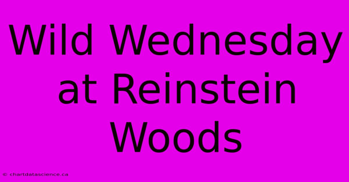 Wild Wednesday At Reinstein Woods