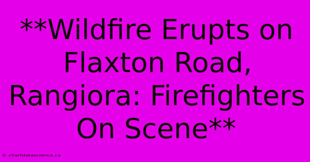 **Wildfire Erupts On Flaxton Road, Rangiora: Firefighters On Scene**