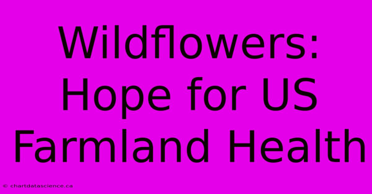 Wildflowers: Hope For US Farmland Health