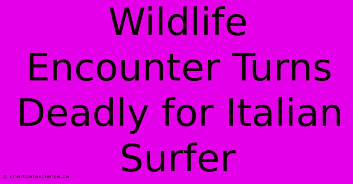 Wildlife Encounter Turns Deadly For Italian Surfer 