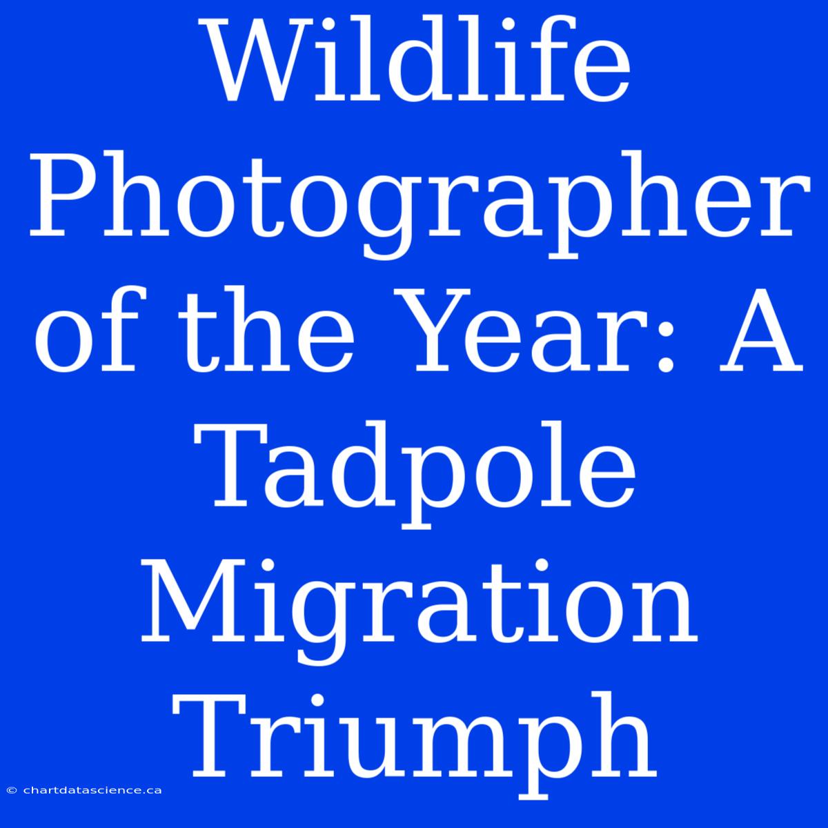 Wildlife Photographer Of The Year: A Tadpole Migration Triumph