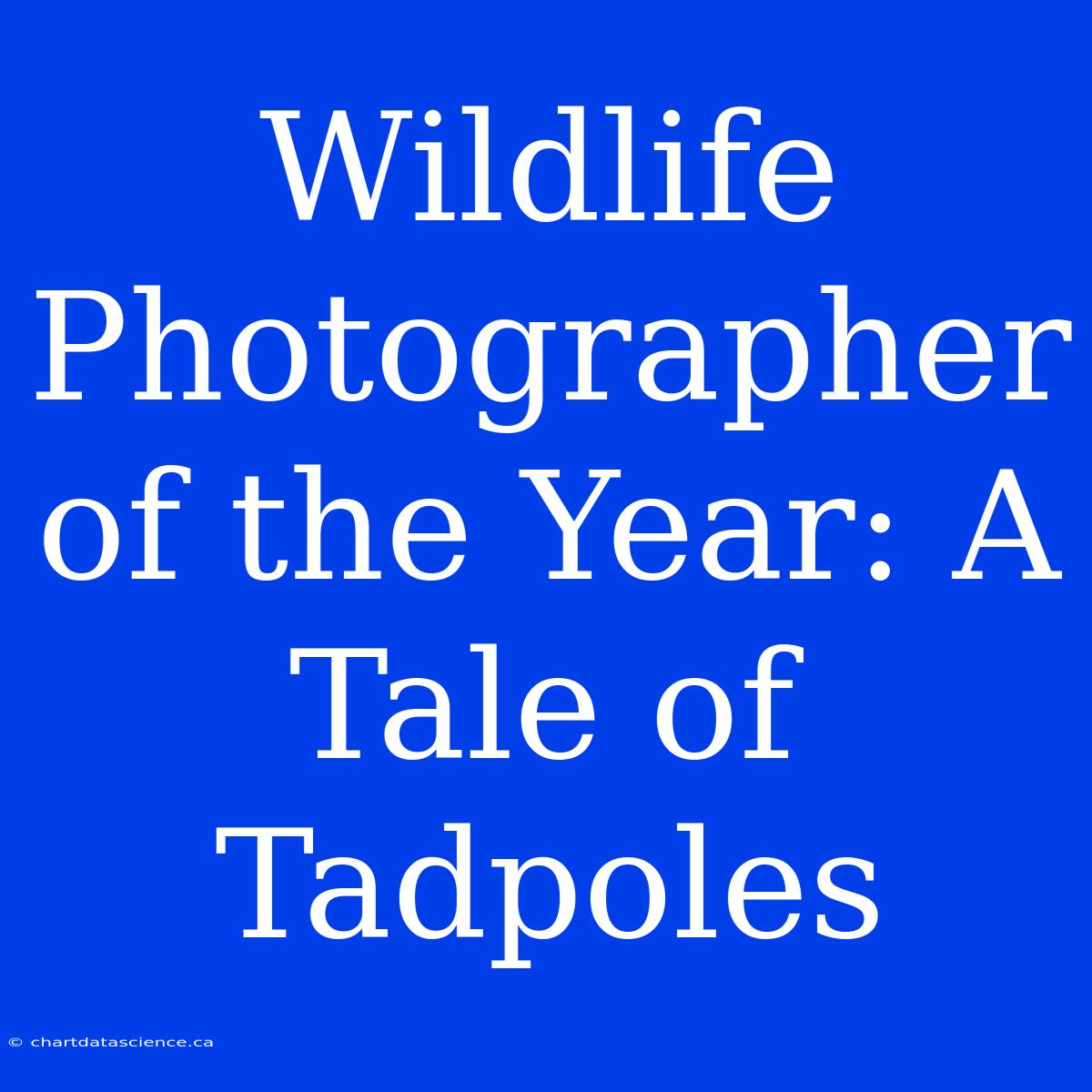 Wildlife Photographer Of The Year: A Tale Of Tadpoles