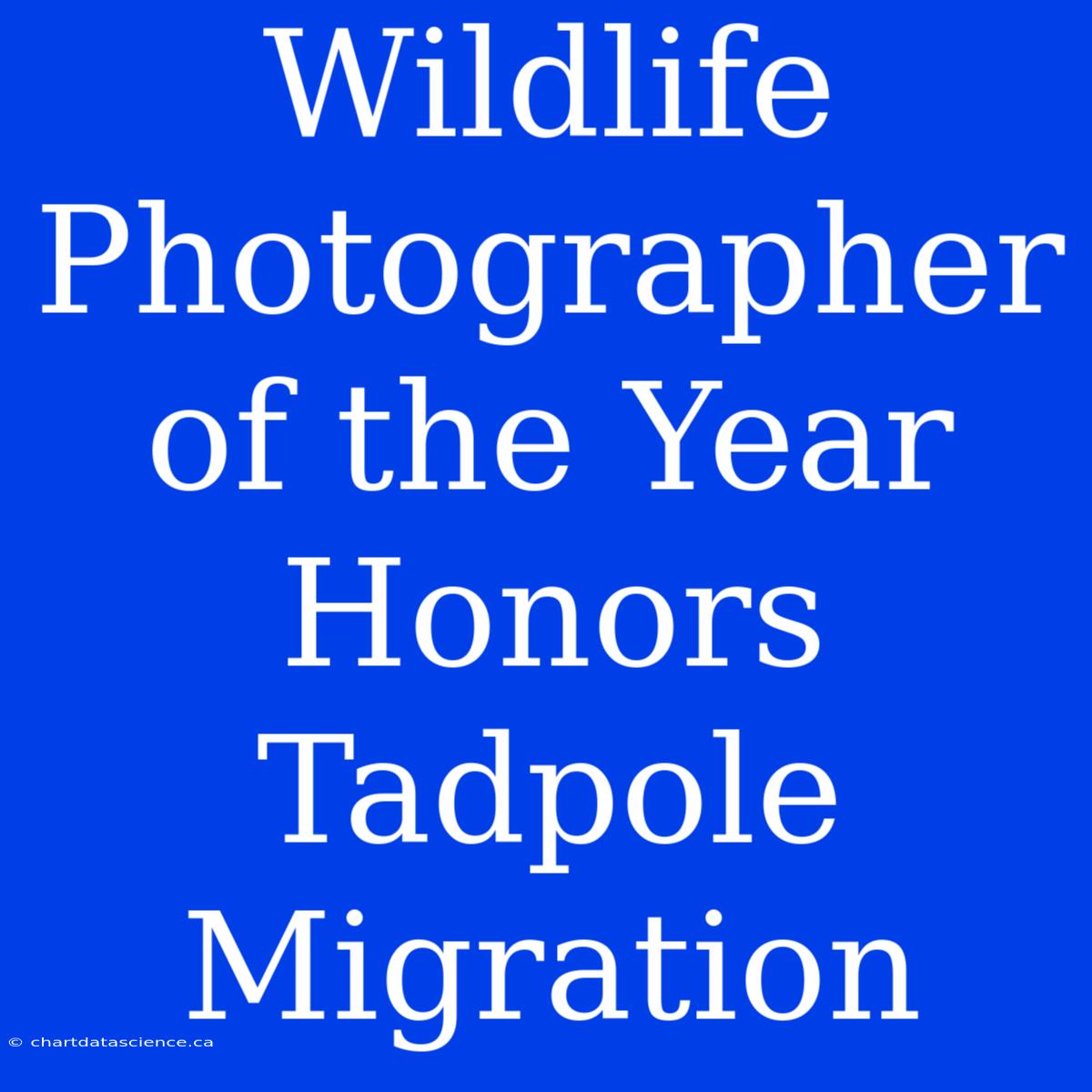 Wildlife Photographer Of The Year Honors Tadpole Migration