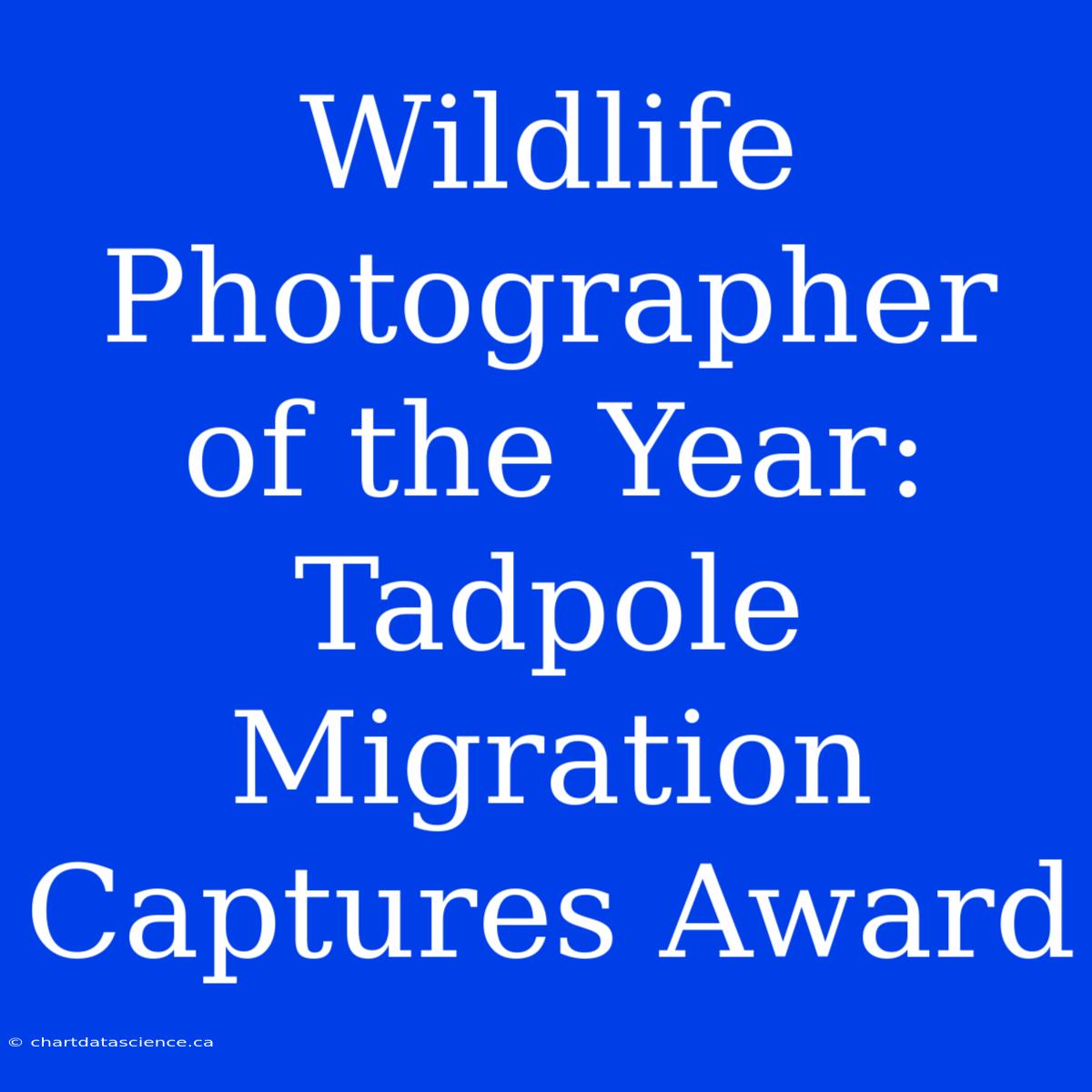 Wildlife Photographer Of The Year: Tadpole Migration Captures Award