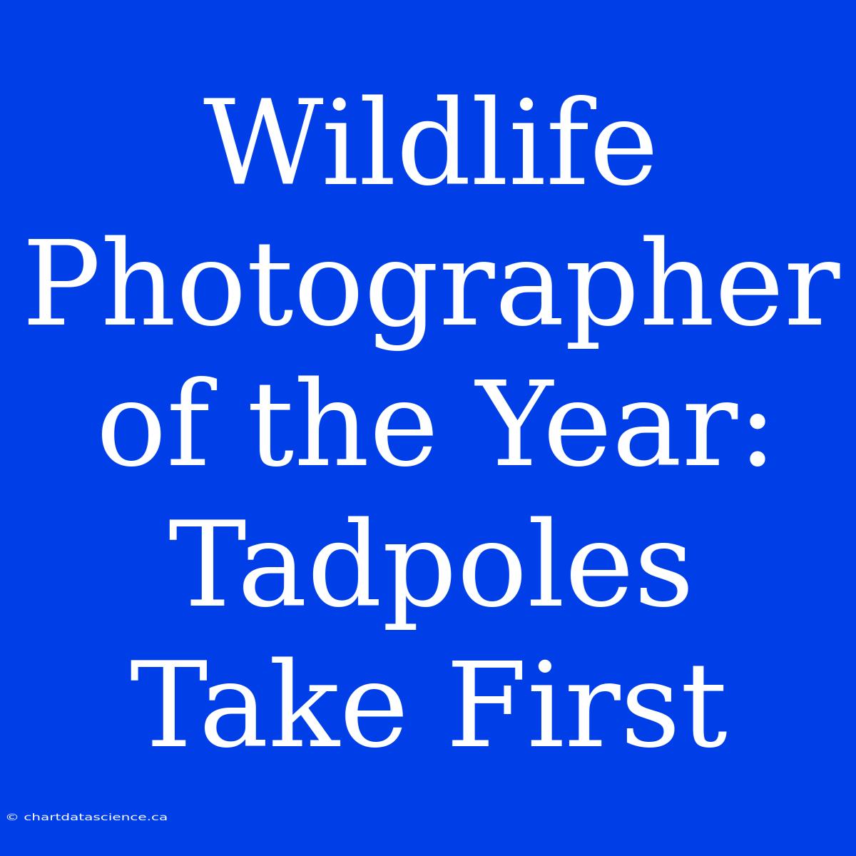 Wildlife Photographer Of The Year: Tadpoles Take First