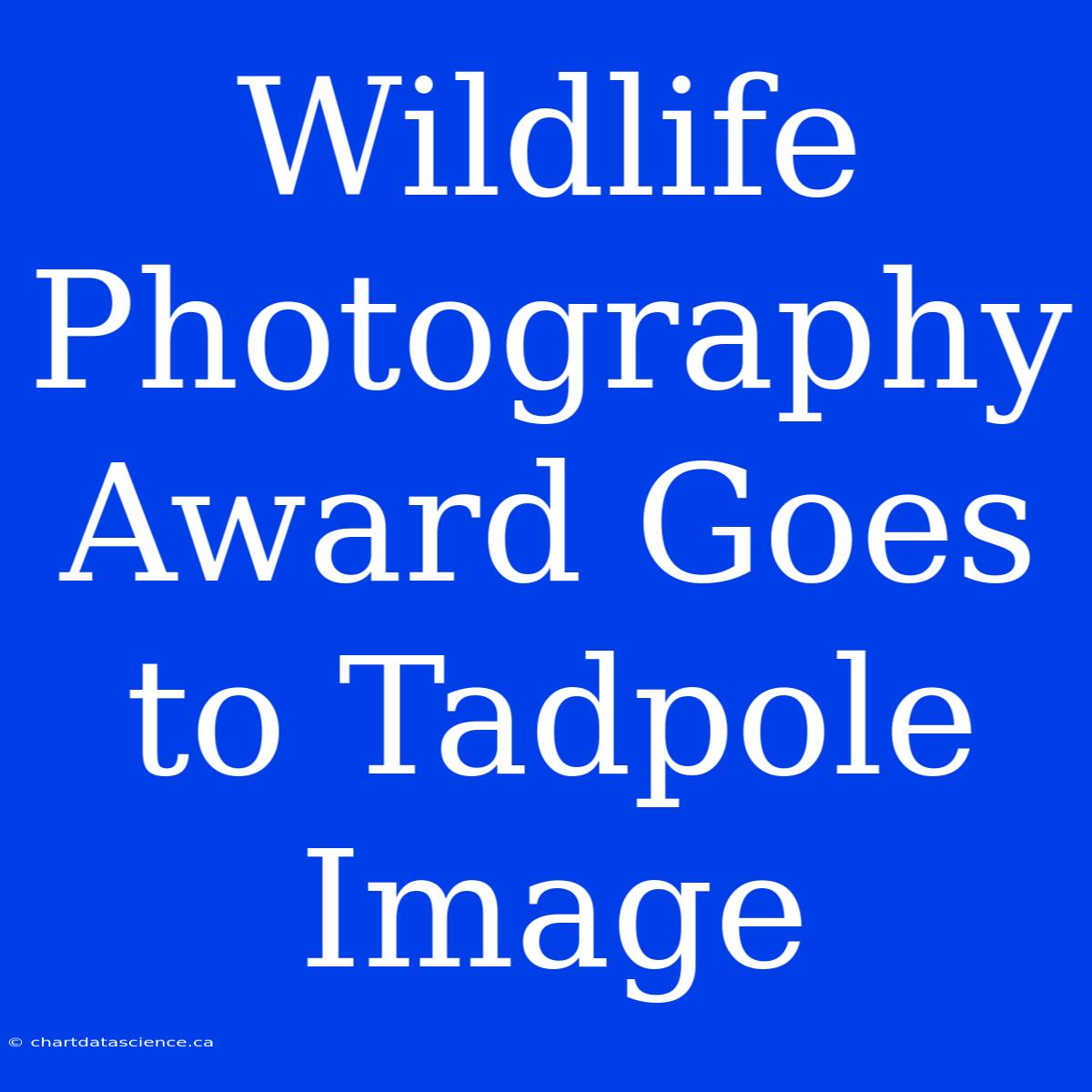 Wildlife Photography Award Goes To Tadpole Image