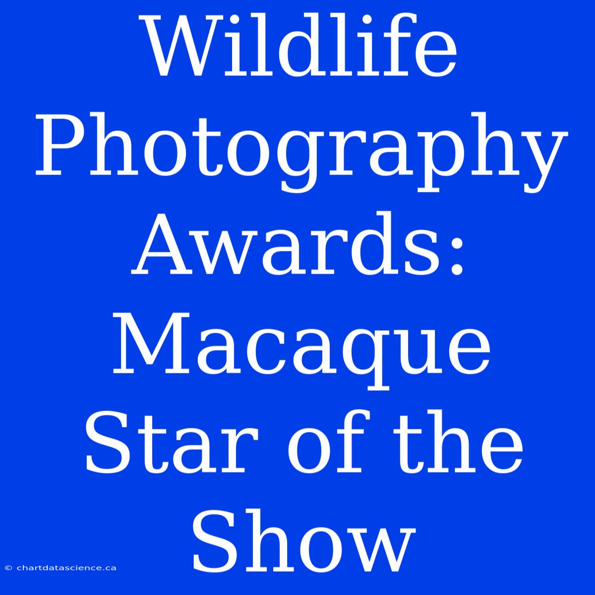 Wildlife Photography Awards: Macaque Star Of The Show