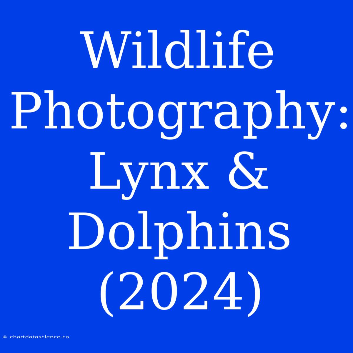 Wildlife Photography: Lynx & Dolphins (2024)