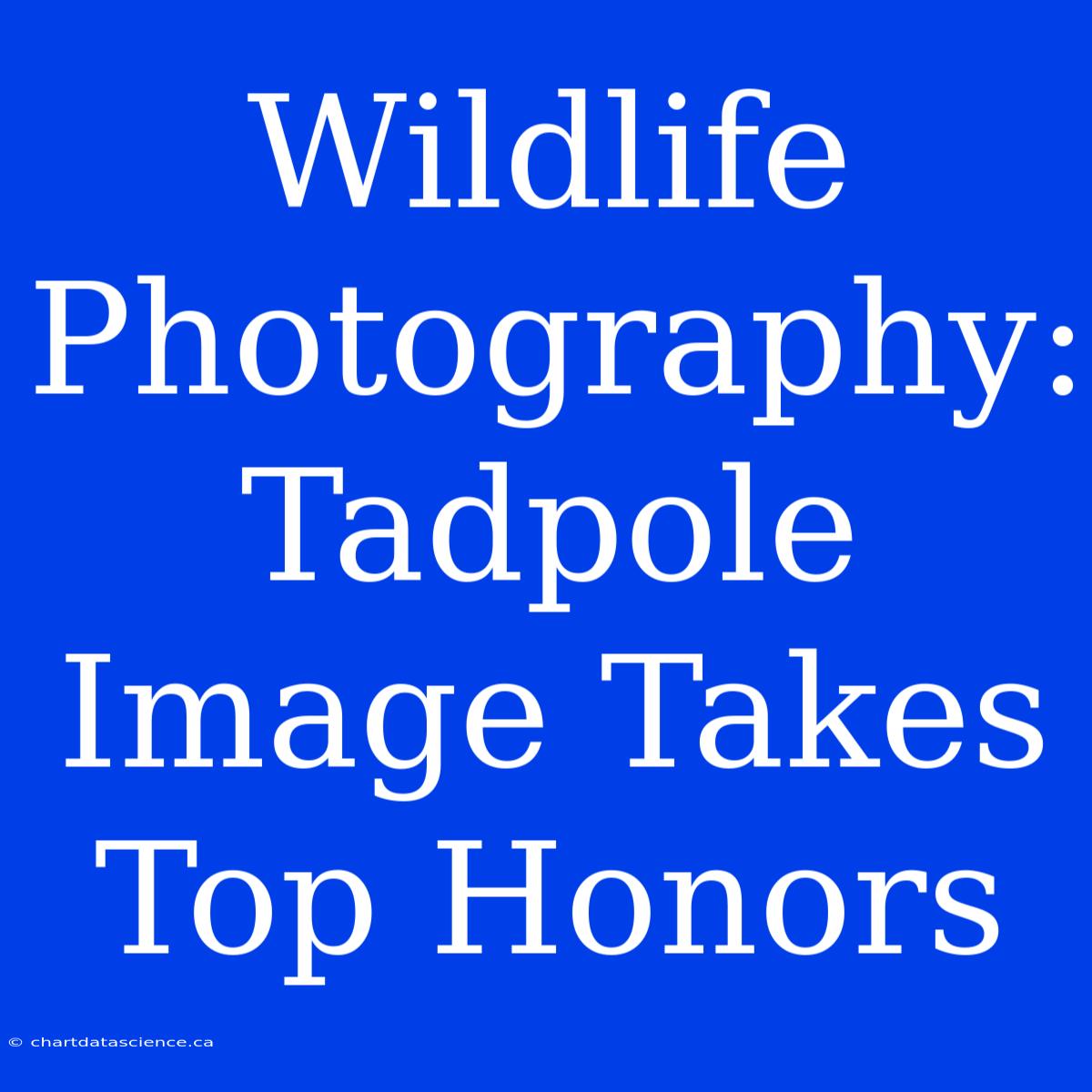 Wildlife Photography: Tadpole Image Takes Top Honors