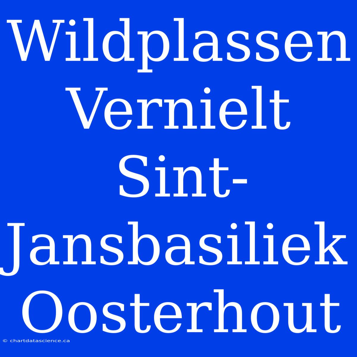 Wildplassen Vernielt Sint-Jansbasiliek Oosterhout