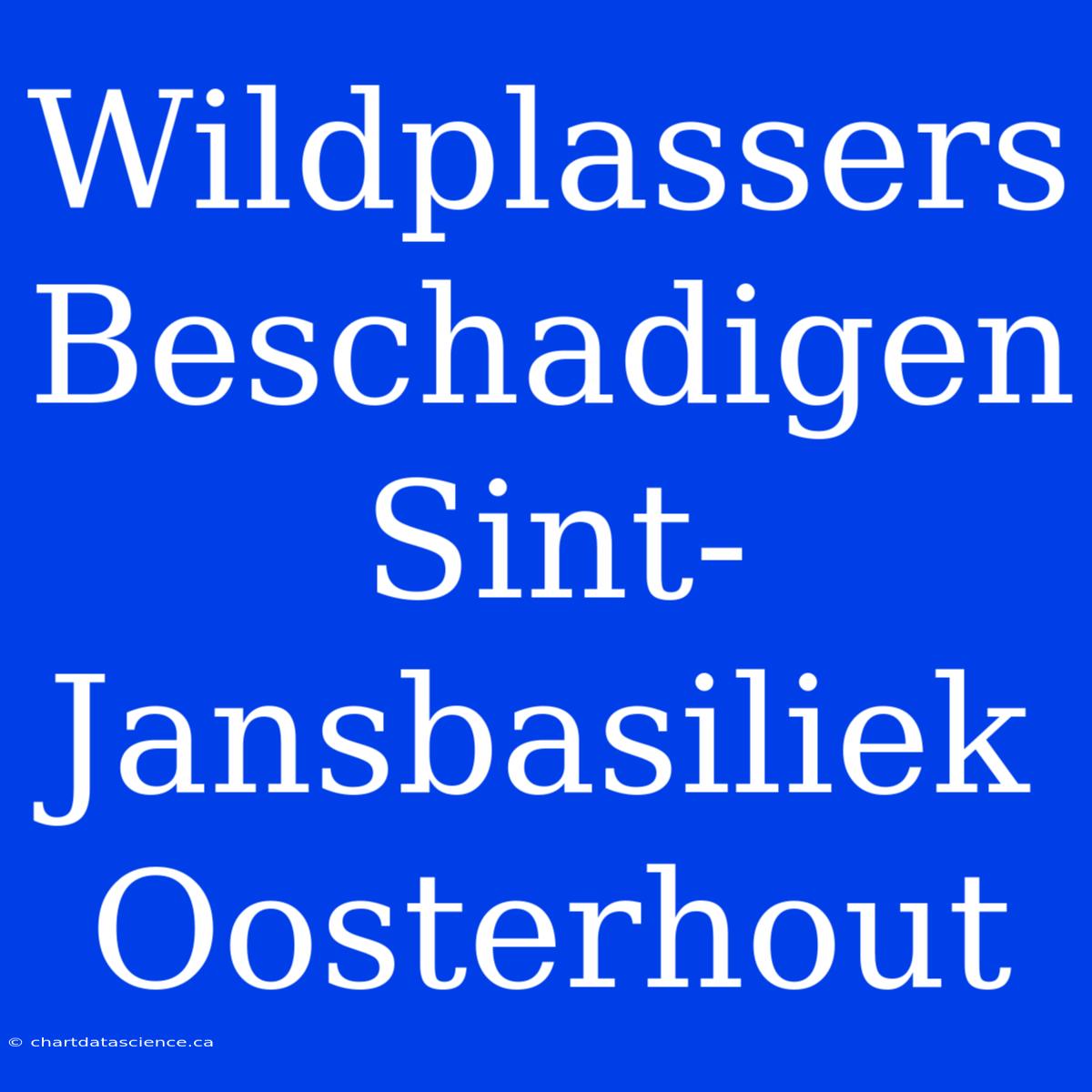 Wildplassers Beschadigen Sint-Jansbasiliek Oosterhout