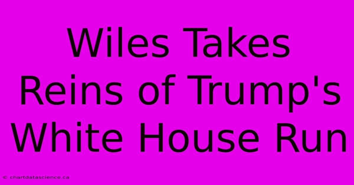 Wiles Takes Reins Of Trump's White House Run 