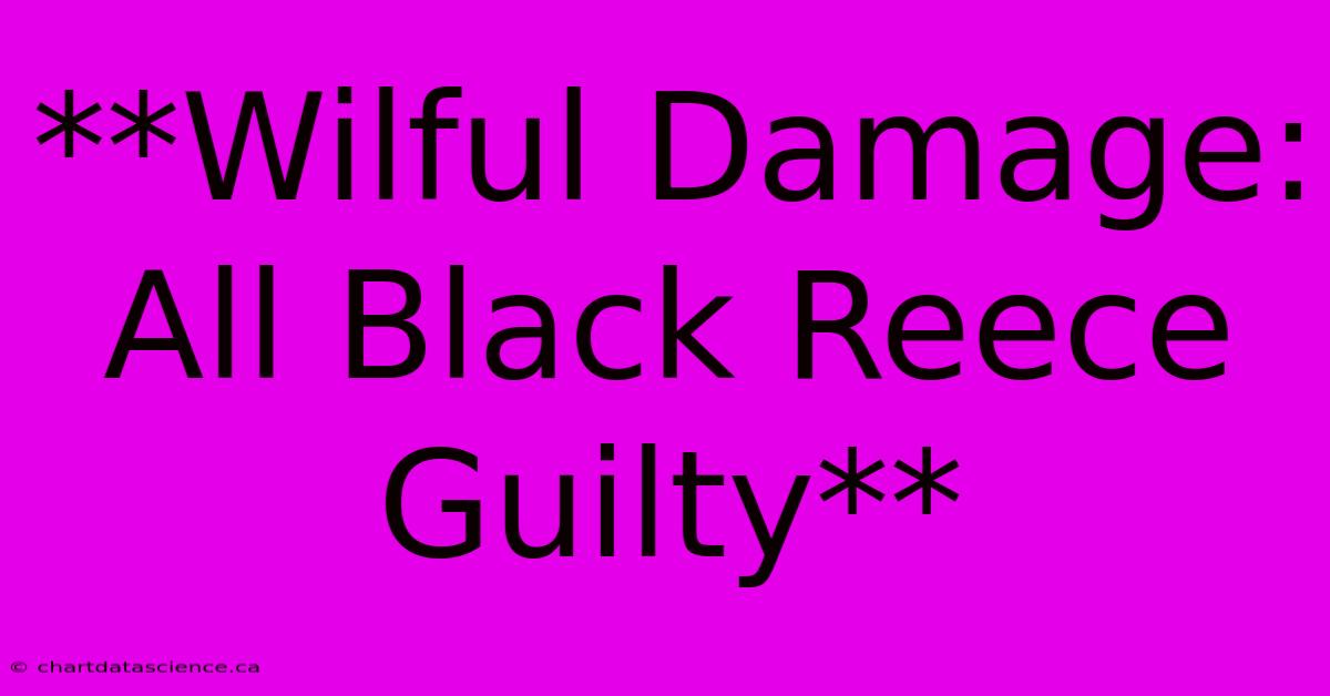 **Wilful Damage: All Black Reece Guilty**