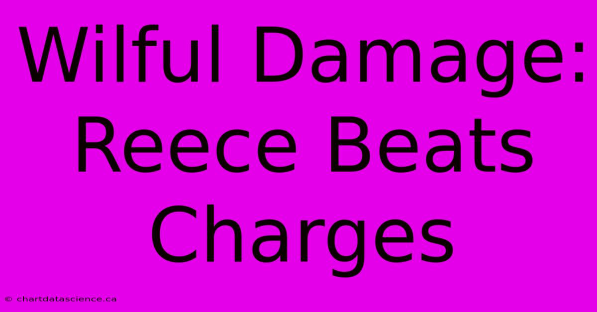 Wilful Damage: Reece Beats Charges