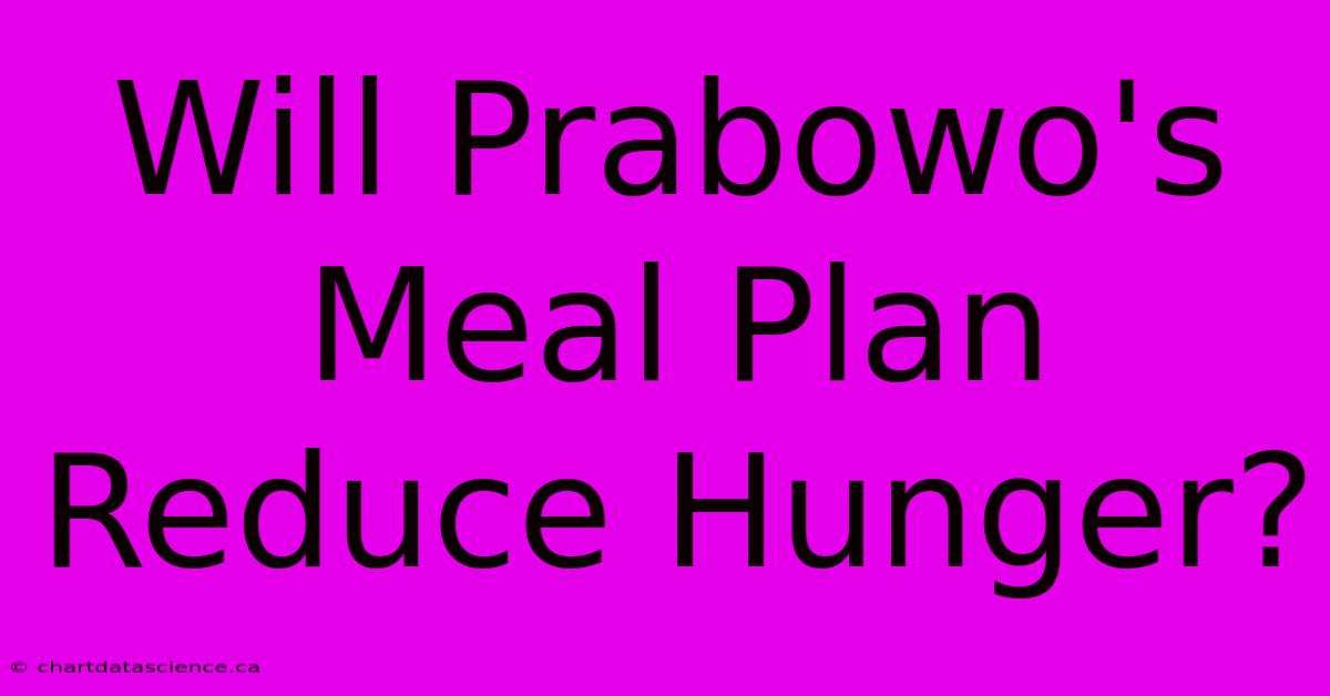 Will Prabowo's Meal Plan Reduce Hunger?