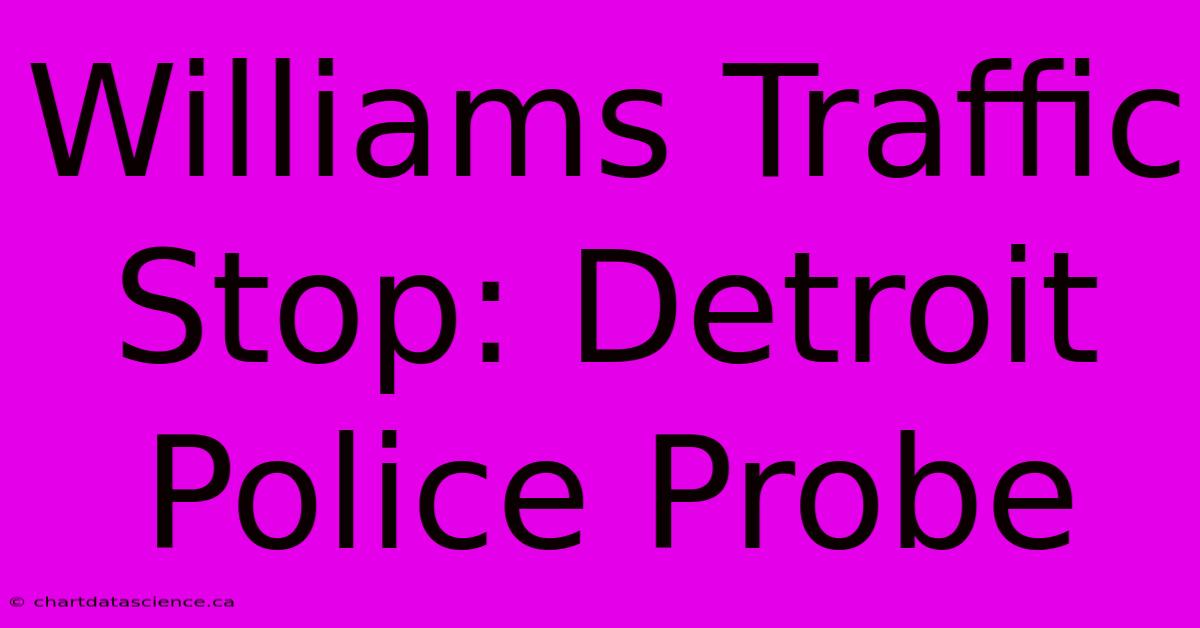 Williams Traffic Stop: Detroit Police Probe 