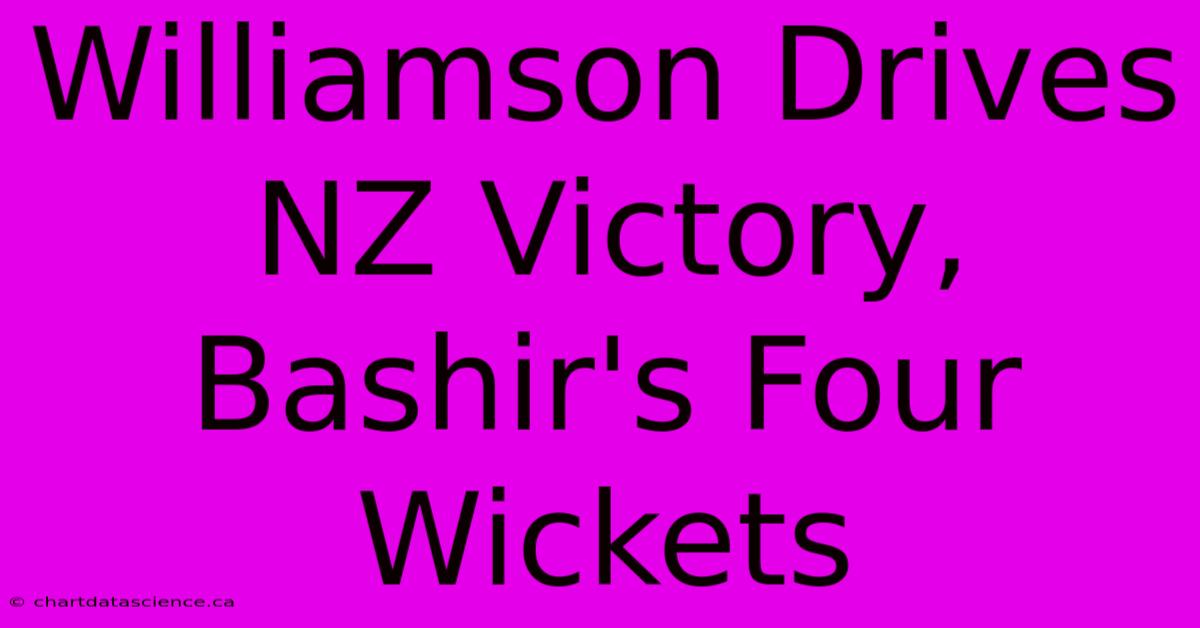 Williamson Drives NZ Victory, Bashir's Four Wickets