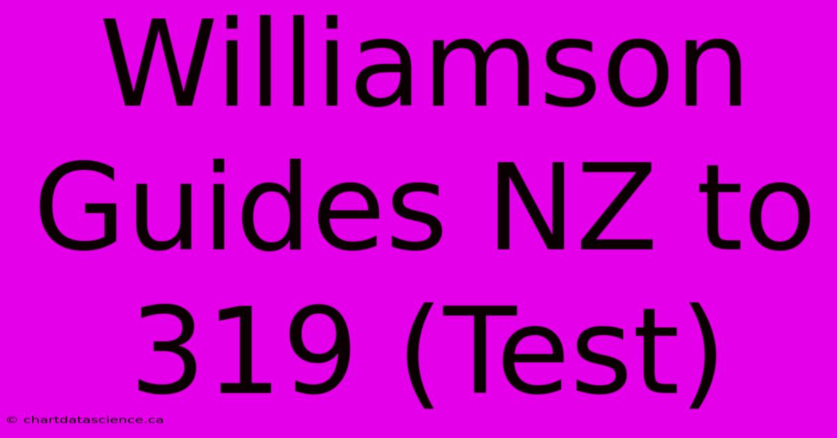 Williamson Guides NZ To 319 (Test)