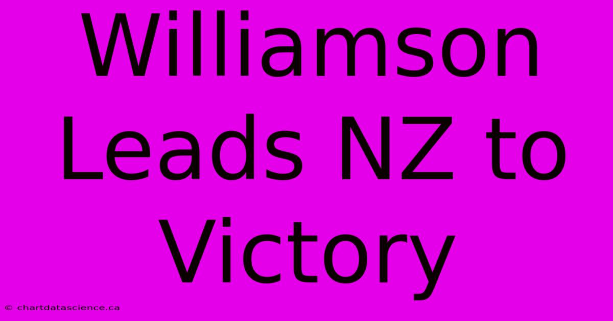 Williamson Leads NZ To Victory