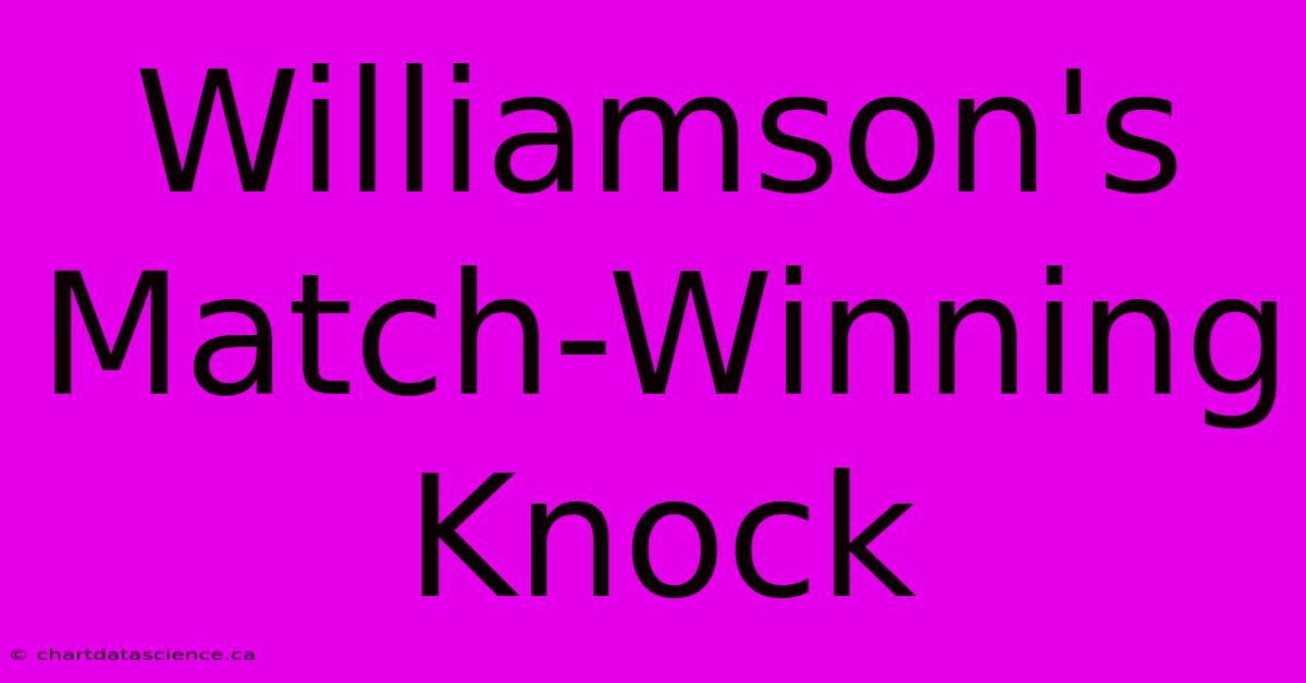 Williamson's Match-Winning Knock