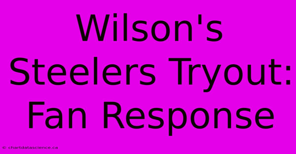 Wilson's Steelers Tryout: Fan Response