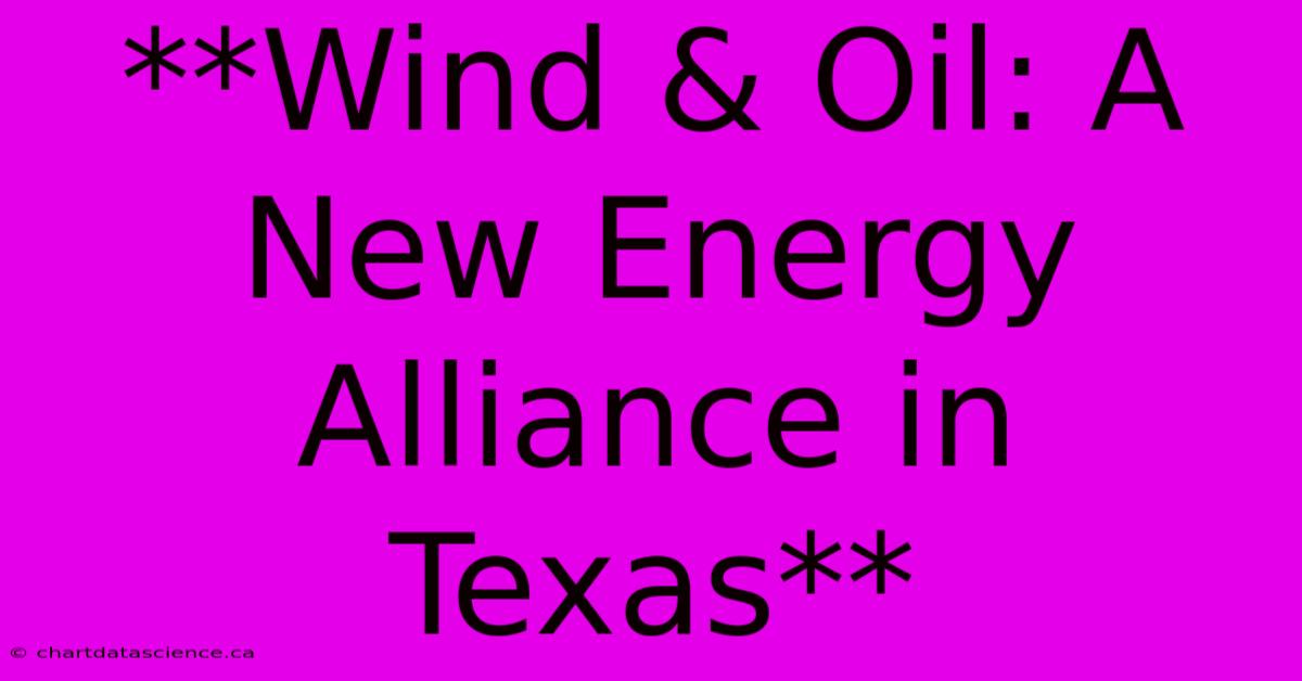 **Wind & Oil: A New Energy Alliance In Texas** 