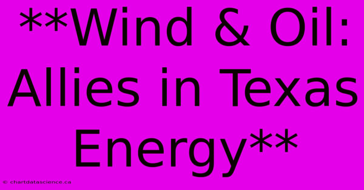 **Wind & Oil: Allies In Texas Energy**