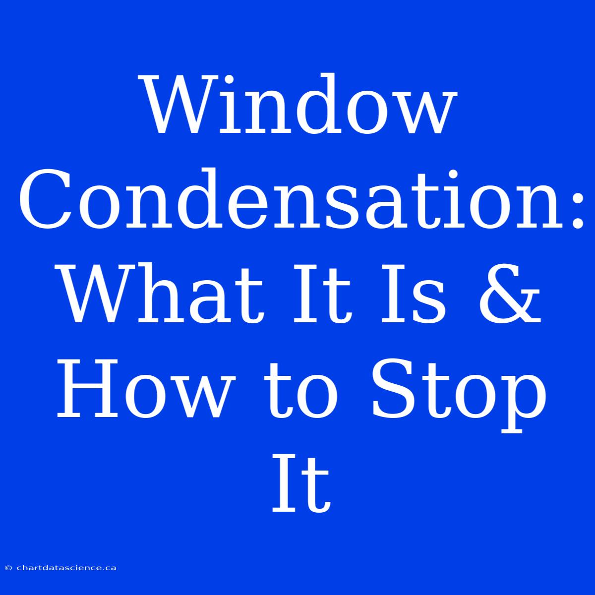 Window Condensation: What It Is & How To Stop It