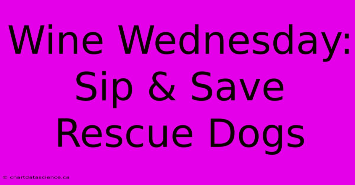 Wine Wednesday: Sip & Save Rescue Dogs