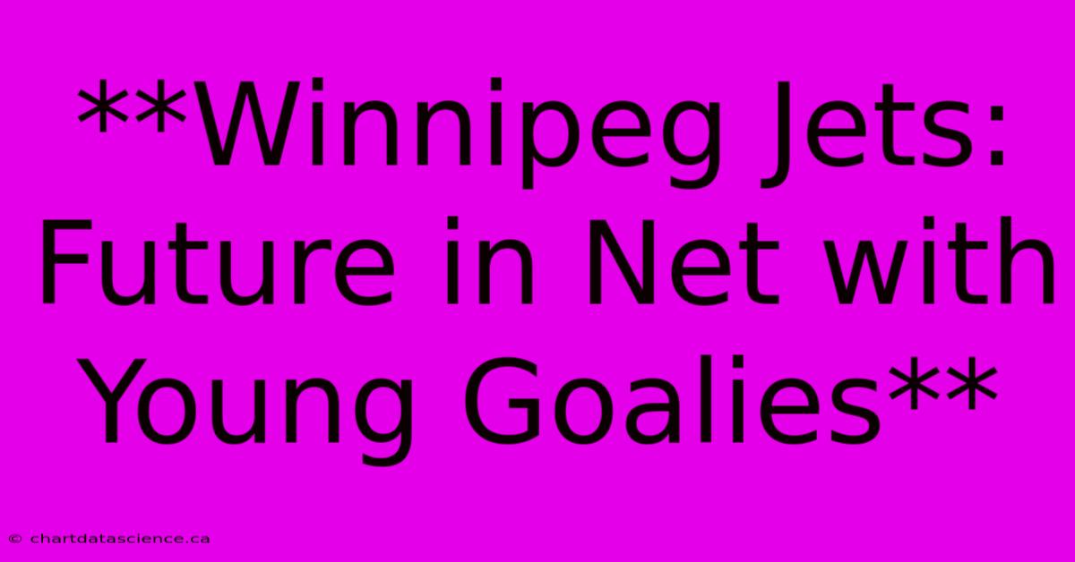 **Winnipeg Jets: Future In Net With Young Goalies**