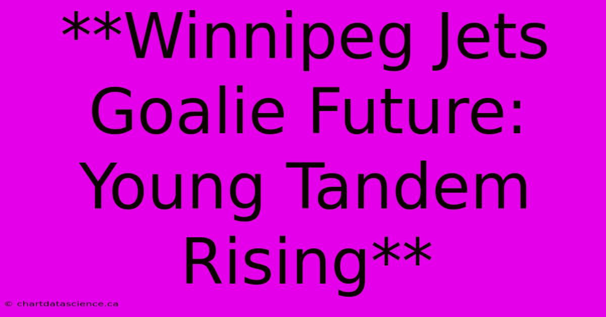 **Winnipeg Jets Goalie Future: Young Tandem Rising** 