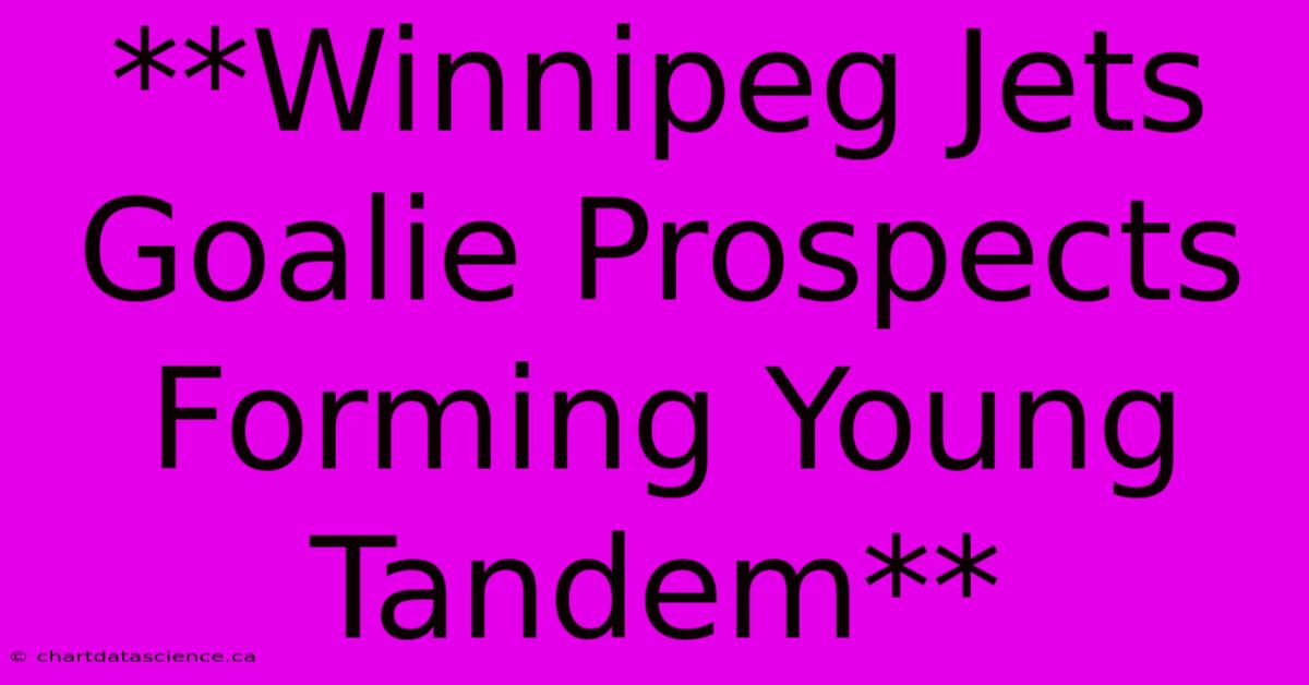 **Winnipeg Jets Goalie Prospects Forming Young Tandem**